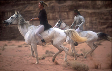 Jordan-Jordan-Across the Wadi Rum with the Bedouines